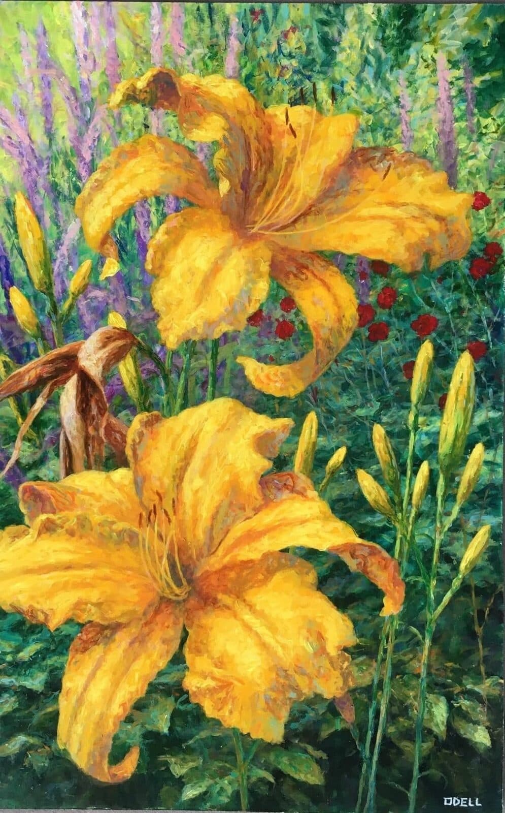 Daylilies at the Missouri Botanical Garden by John Odell