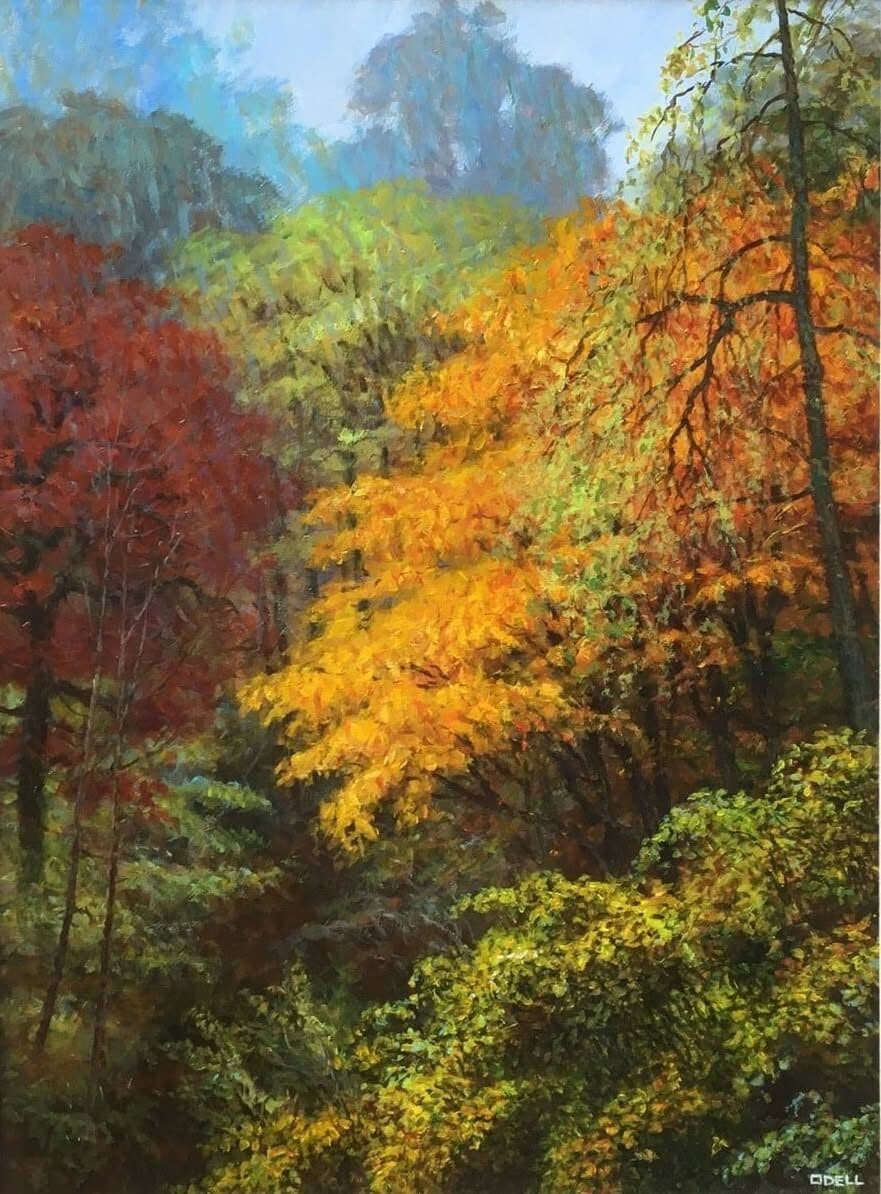 Deep Hollow: Pere Marquette State Park