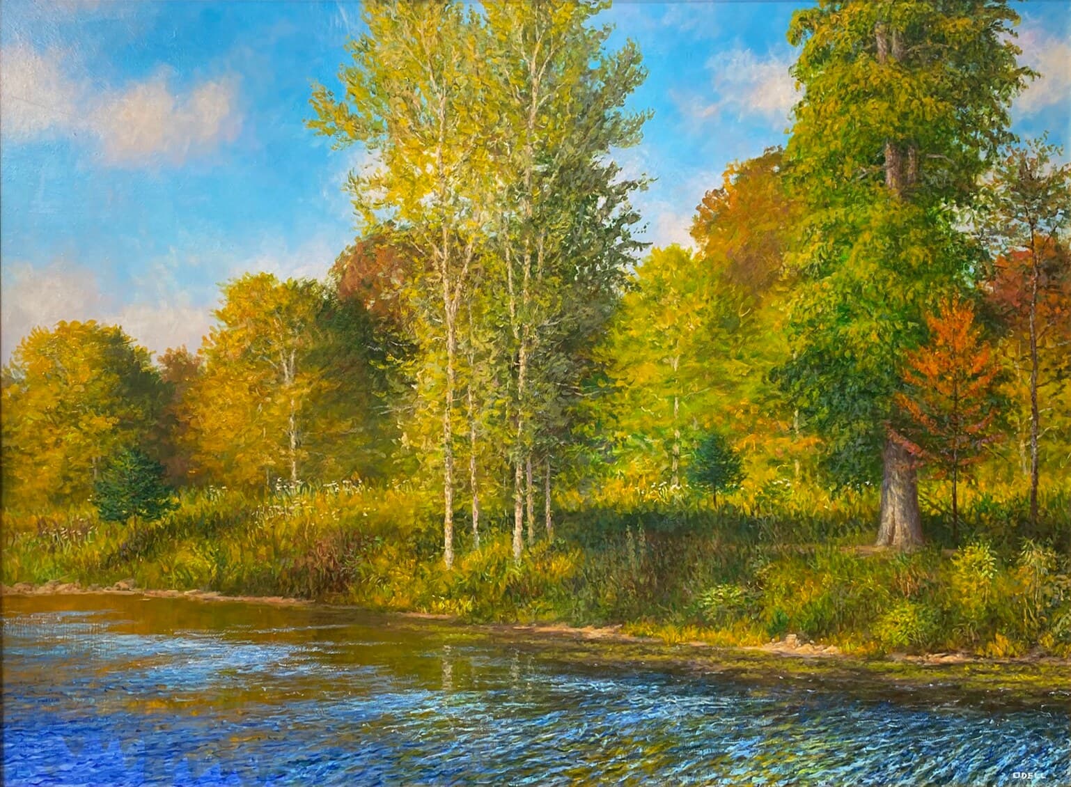 Forest Park Waterway