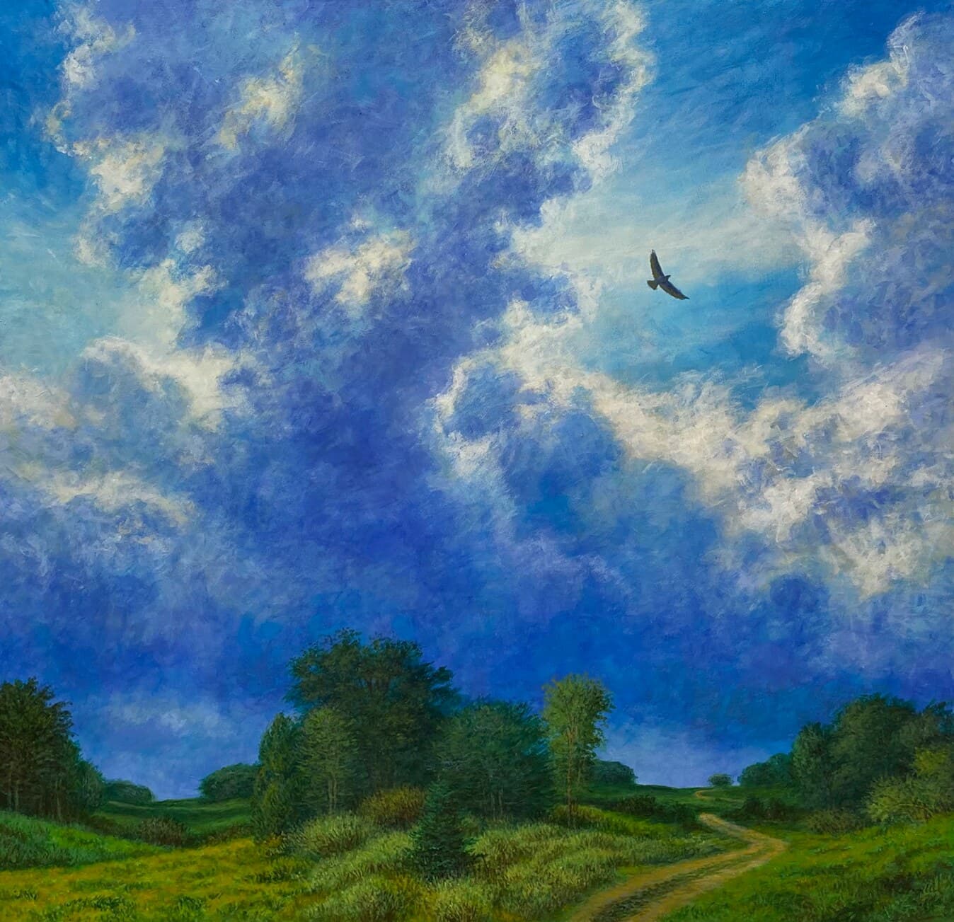 Soaring